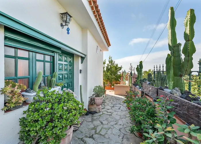 Casa Isabel * 티하라페