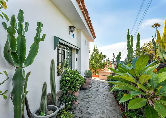 아파트 Casa Isabel 티하라페