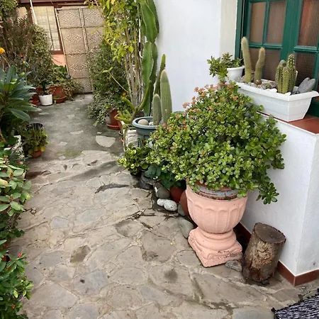 Casa Isabel * تيخارافي